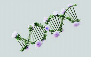 Artistic interpretation of a polynucleotide chain formed from blooming flowers, symbolizing natural regeneration and gentle healing after microneedling.