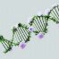 Artistic interpretation of a polynucleotide chain formed from blooming flowers, symbolizing natural regeneration and gentle healing after microneedling.